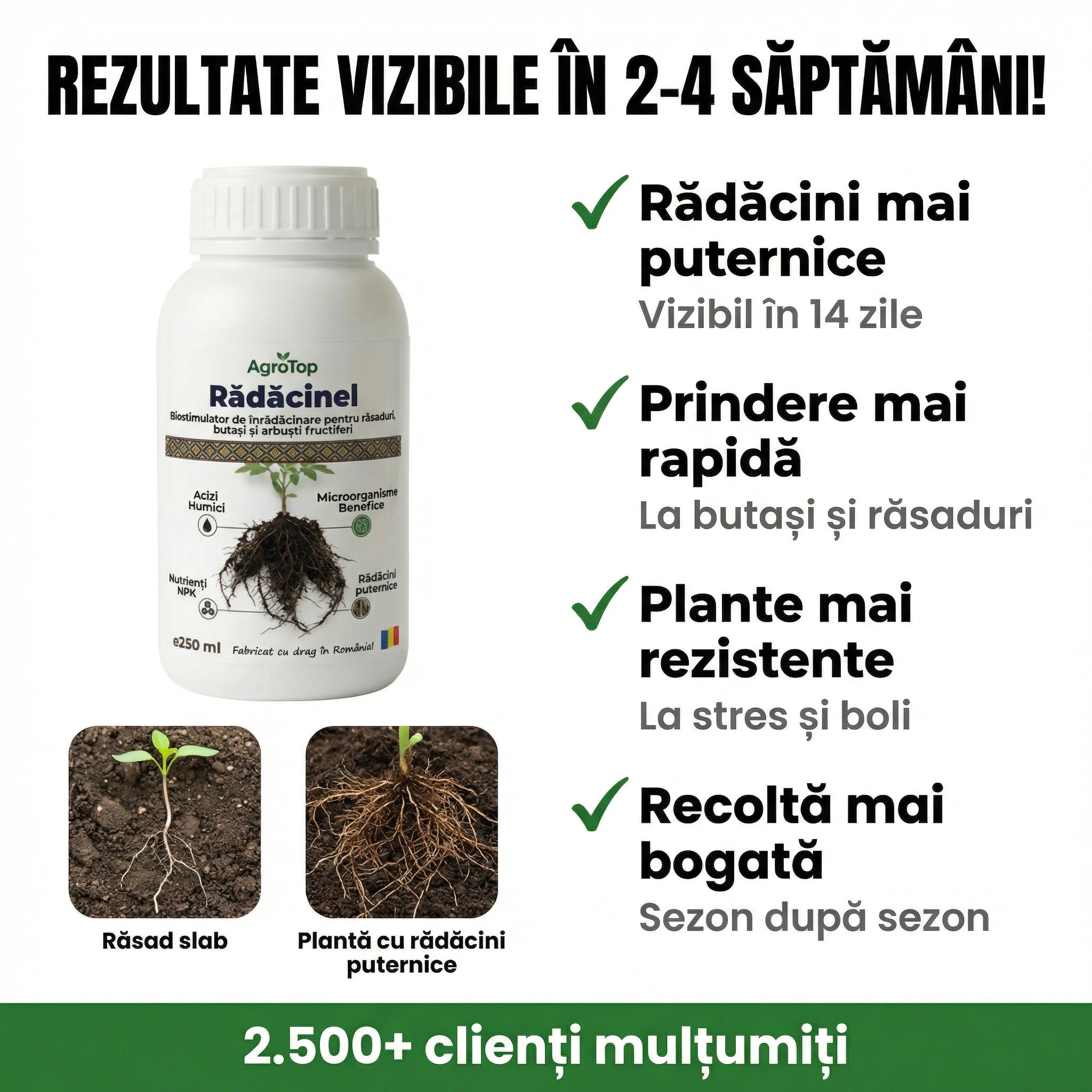 Rădăcinel, 250ml