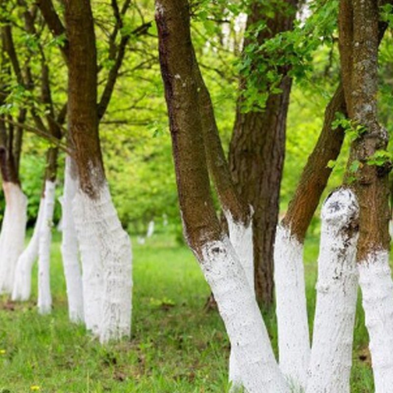 Duză cu presiune pentru stropirea plantelor și a pomilor