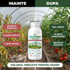 SolarProtect - Dezinfectant pentru sere, gradini si solarii, 1L