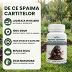 Spaima cârtițelor 100 ml buc.