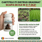 Spaima cârtițelor 100 ml buc. - l