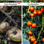 Stimulator de legare si rodire pentru tomate, 250 ml