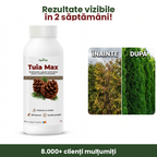 Tuia Max 1L buc. - l