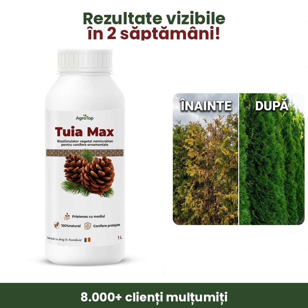 Tuia Max 1L buc. - l