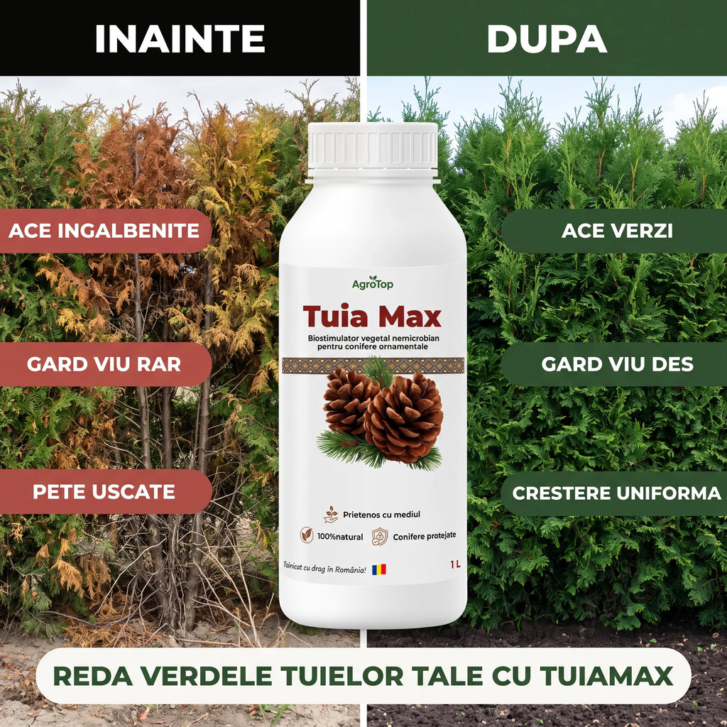 Tuia Max 1L buc.