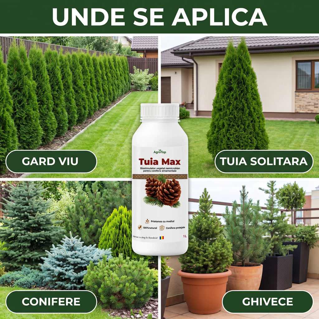 Tuia Max 1L buc.