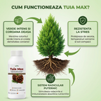 Tuia Max, Biostimulator vegetal pentru conifere ornamentale, 1L