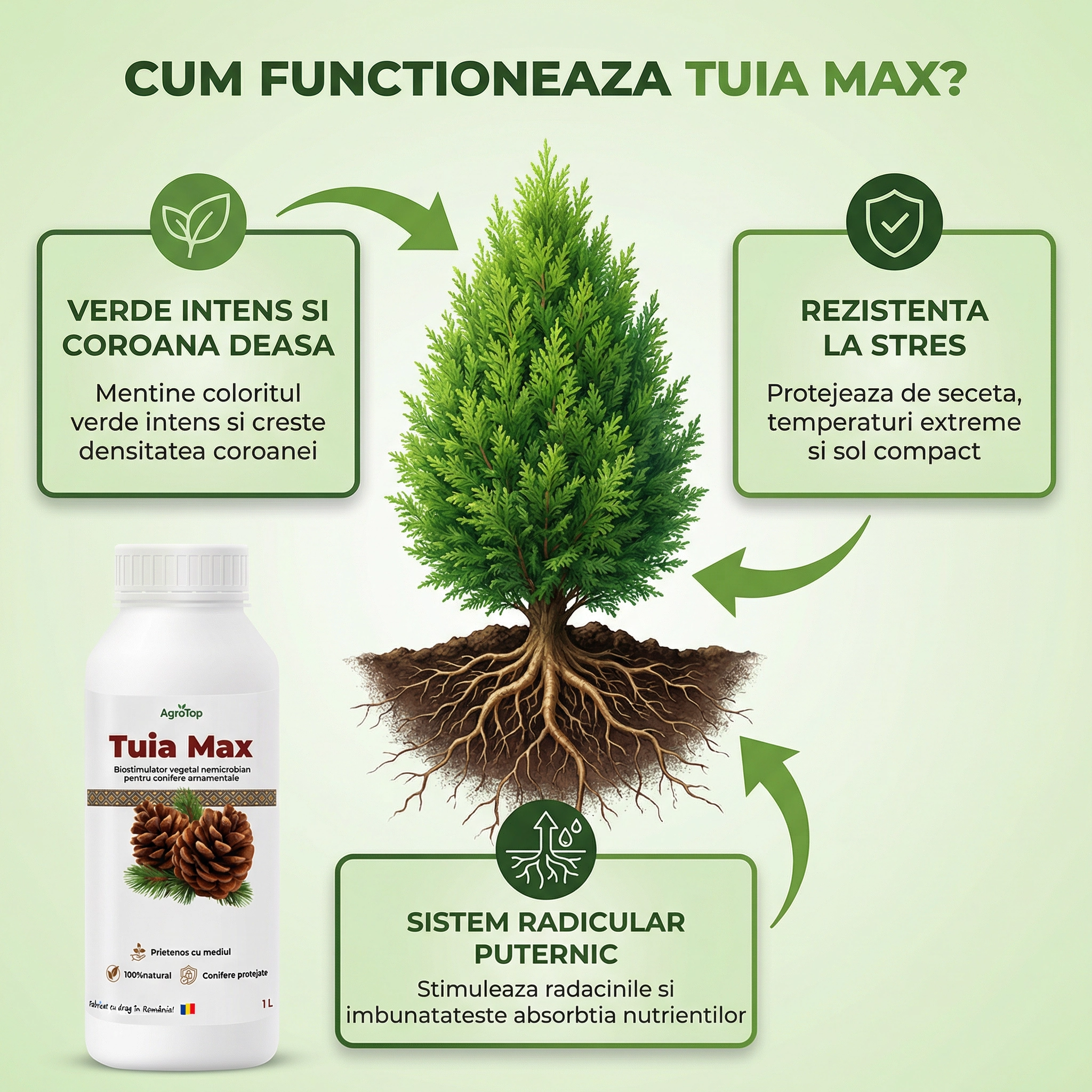 Tuia Max, Biostimulator vegetal pentru conifere ornamentale, 1L