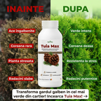 Tuia Max, Biostimulator vegetal pentru conifere ornamentale, 1L
