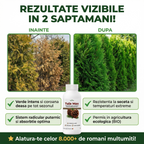 Tuia Max, Biostimulator vegetal pentru conifere ornamentale, 1L