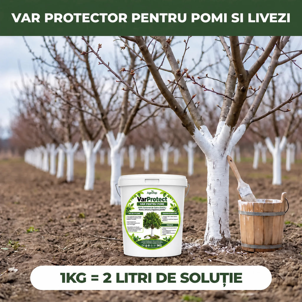 VarProtect - Var protector pentru pomi și livezi, 1KG