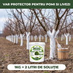 VarProtect - Var protector pentru pomi și livezi, 1KG