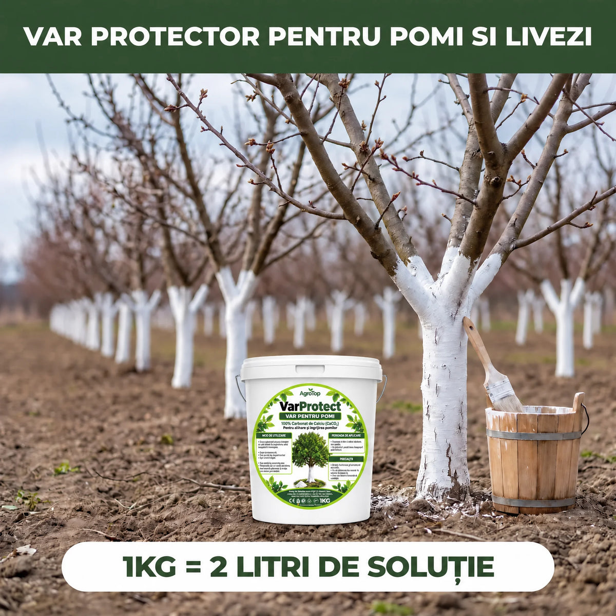 VarProtect - Var protector pentru pomi și livezi, 1KG