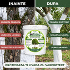 VarProtect - Var protector pentru pomi și livezi, 1KG