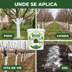 VarProtect - Var protector pentru pomi și livezi, 1KG