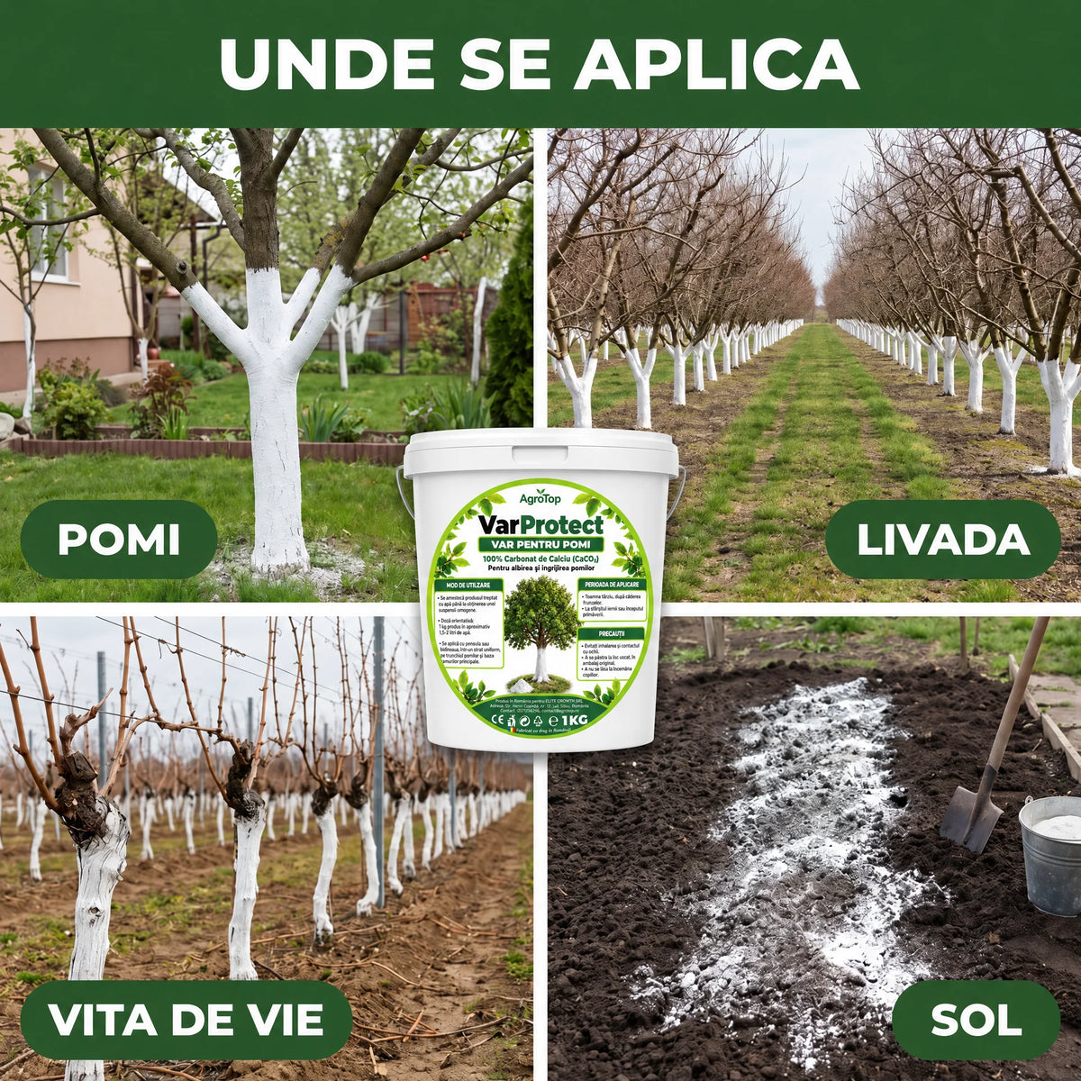 VarProtect - Var protector pentru pomi și livezi, 1KG