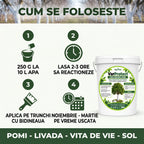 VarProtect - Var protector pentru pomi și livezi, 1KG