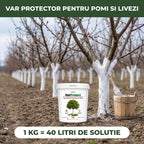 VarProtect - Var protector pentru pomi și livezi, 1KG