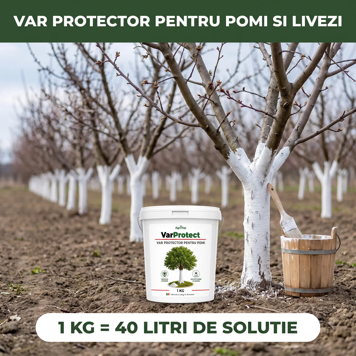 VarProtect - Var protector pentru pomi și livezi, 1KG