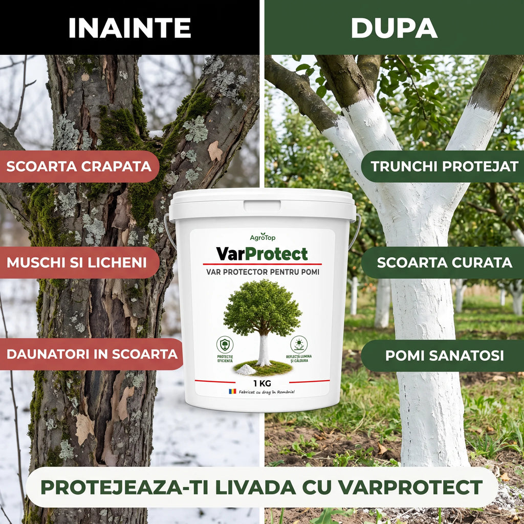 VarProtect - Var protector pentru pomi și livezi, 1KG