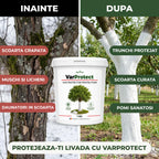 VarProtect - Var protector pentru pomi și livezi, 1KG