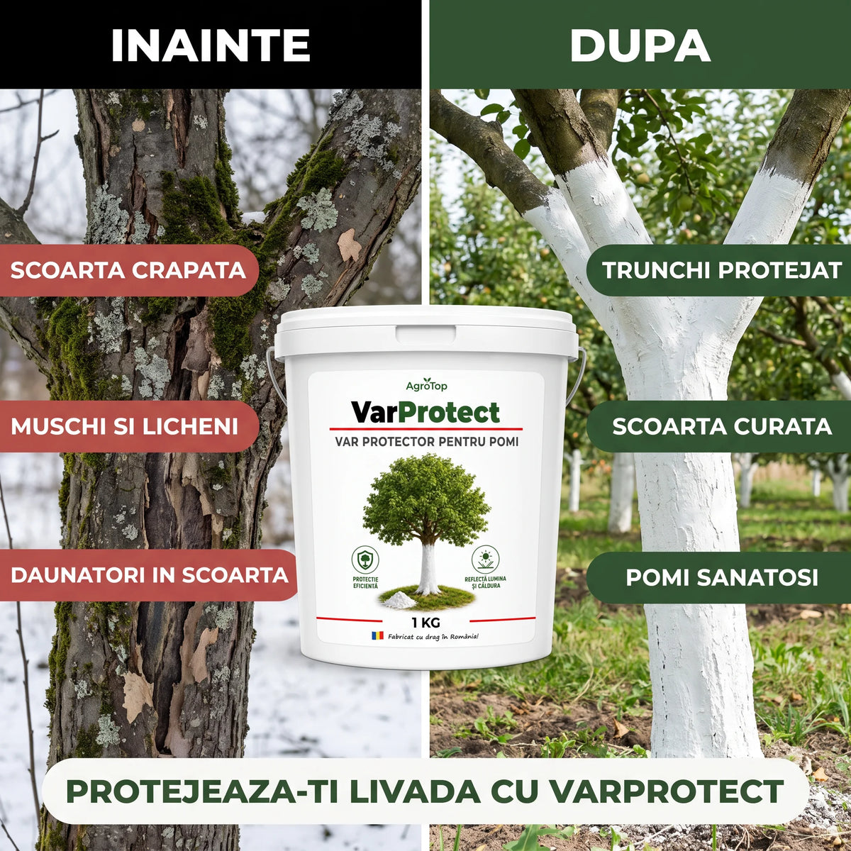 VarProtect - Var protector pentru pomi și livezi, 1KG