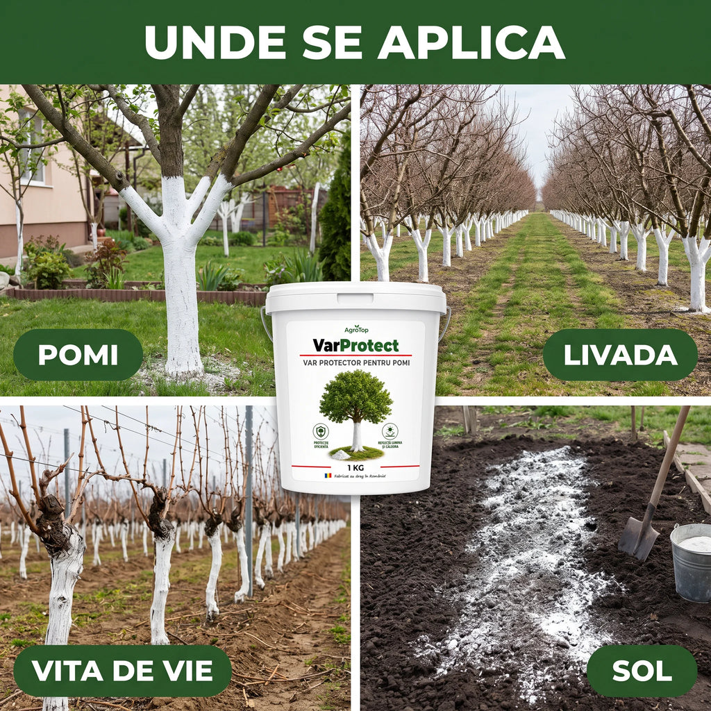 VarProtect - Var protector pentru pomi și livezi, 1KG