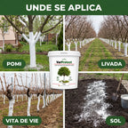 VarProtect - Var protector pentru pomi și livezi, 1KG
