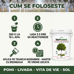 VarProtect - Var protector pentru pomi și livezi, 1KG