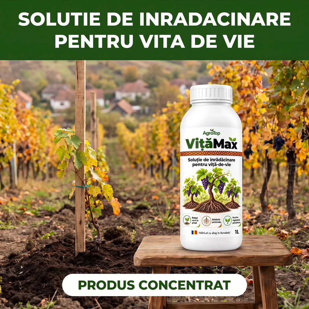 VițăMax - Solutie inradacinare vita de vie, 1L