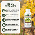 VițăMax - Solutie inradacinare vita de vie, 1L