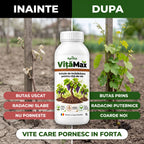 VițăMax - Solutie inradacinare vita de vie, 1L