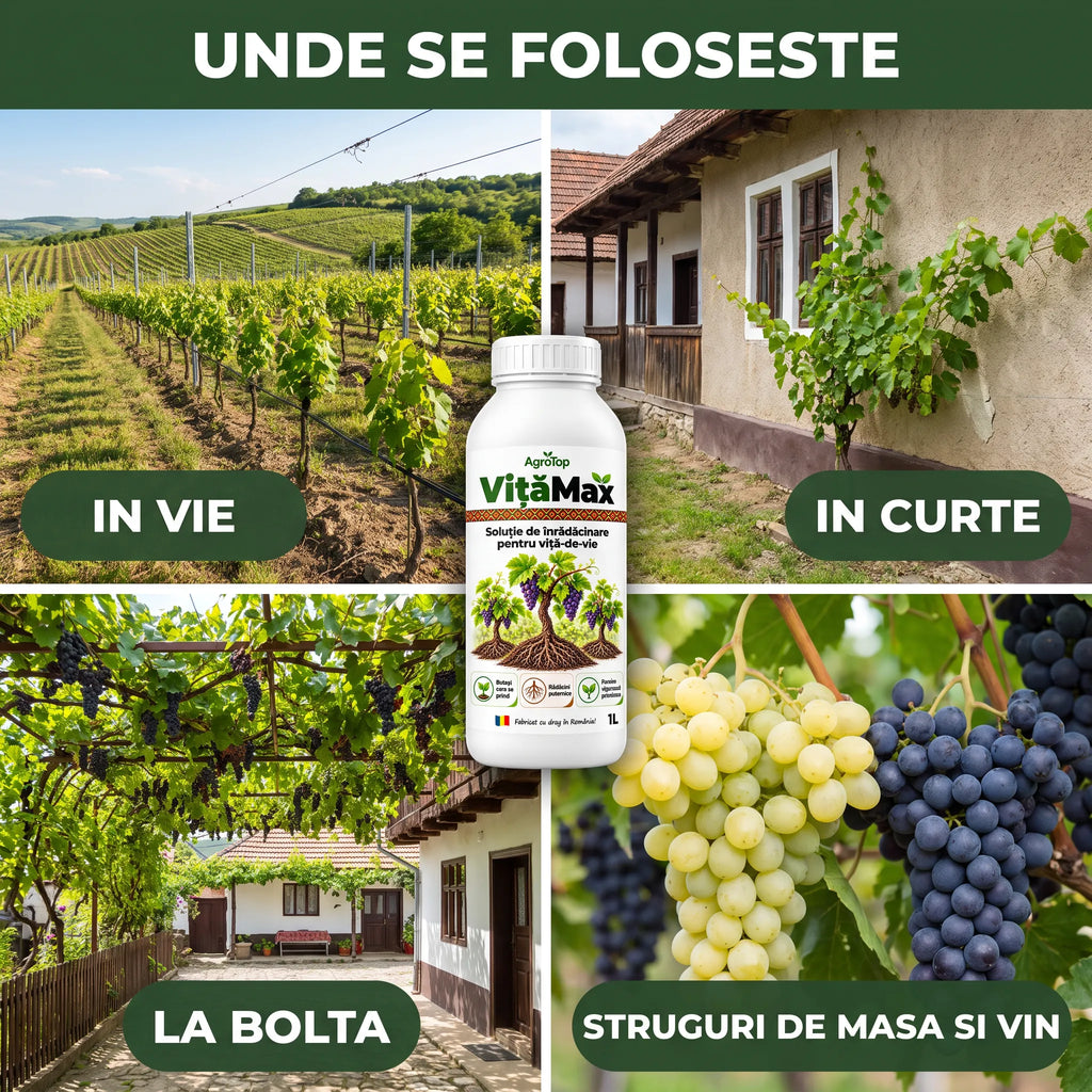 VițăMax - Solutie inradacinare vita de vie, 1L