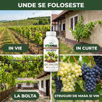 VițăMax - Solutie inradacinare vita de vie, 1L