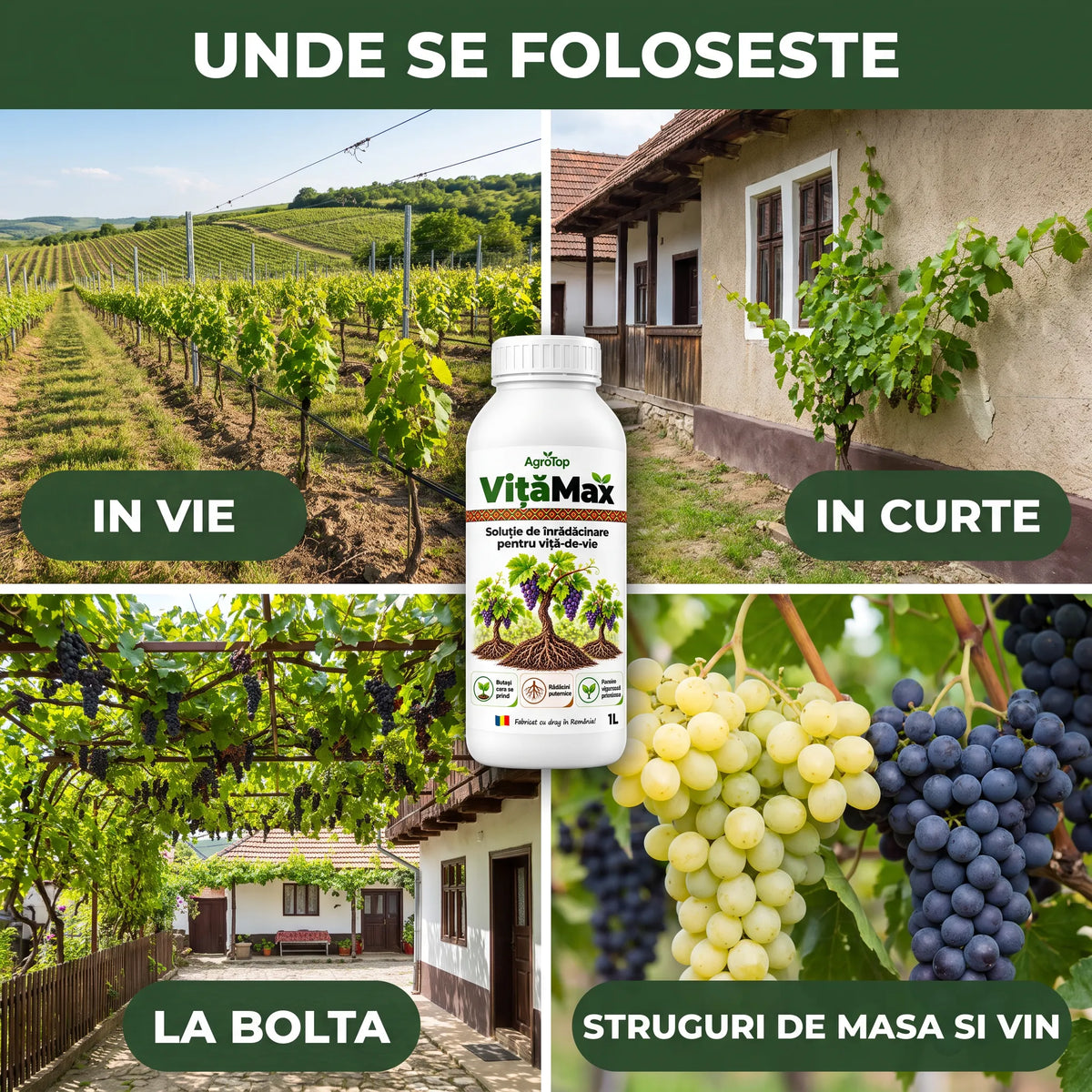VițăMax - Solutie inradacinare vita de vie, 1L