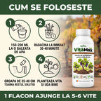 VițăMax - Solutie inradacinare vita de vie, 1L